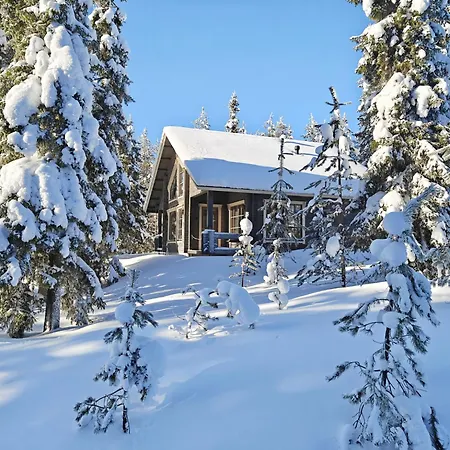 Vakantiehuis Ihtingin Koskikara By Interhome *